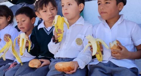 447402398_375985145495564_7946128256349359336_n