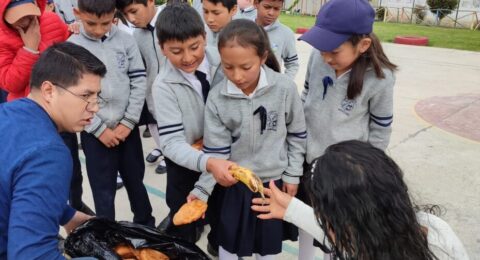 448174630_380413518386060_9114459320910107247_n