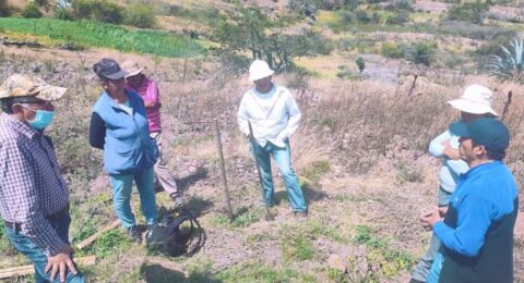 459212425_442343228859755_893146410495309829_n