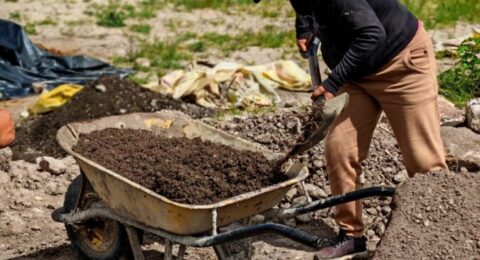 485055019_559143787183909_7734620270686503006_n