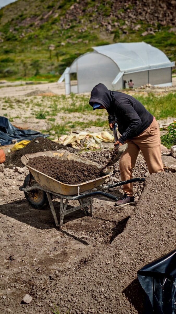 485055019_559143787183909_7734620270686503006_n