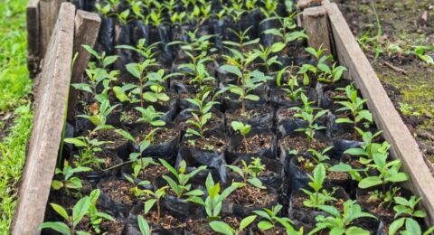 487823202_588888444205232_368922940077632161_n