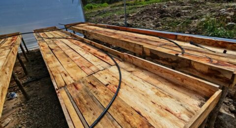 488577840_592119597215450_2741988541135536749_n