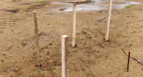 488706095_590459047381505_2114982701875985203_n