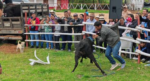 494044513_611200485307361_4438124384971609687_n