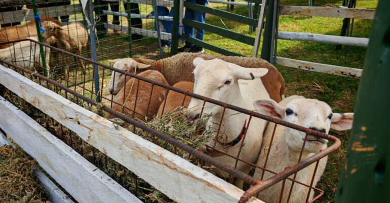 500282724_629883196772423_868884322851560080_n