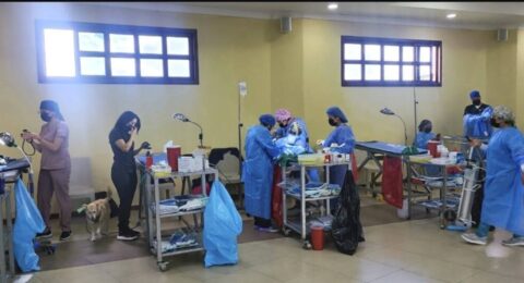 590712382_786426097784798_7416777827702127791_n