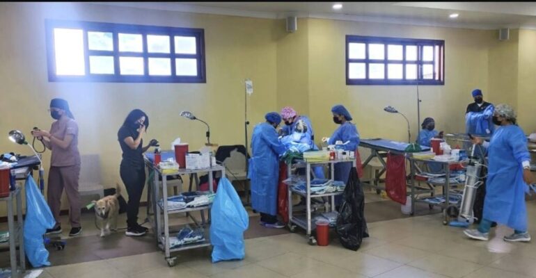 590712382_786426097784798_7416777827702127791_n